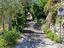 Immagine 9
