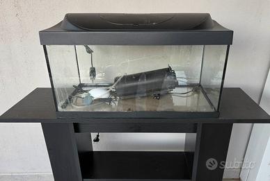  Acquario con Mobile