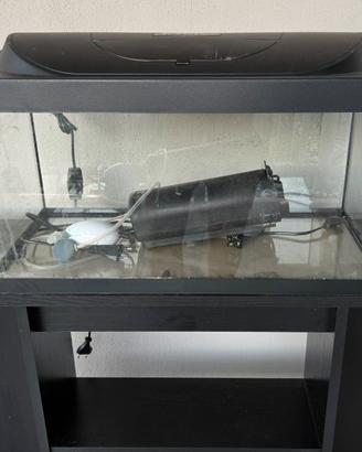  Acquario con Mobile