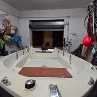 barca open 450 mercury 10 