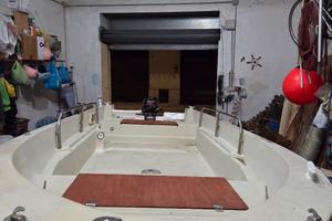 barca open 450 mercury 10 