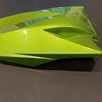 Unghia monoposto Kawasaki Z1000sx