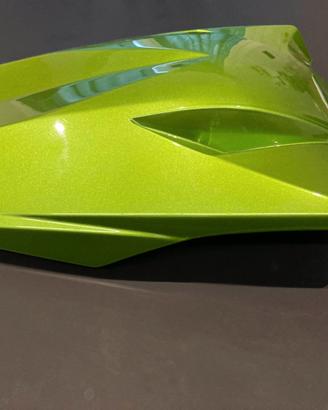 Unghia monoposto Kawasaki Z1000sx