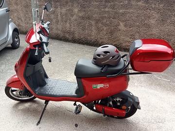 Velocipede elettrico