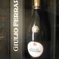 TECA GIULIO FERRARI