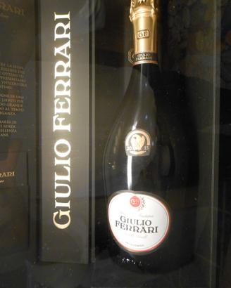 TECA GIULIO FERRARI