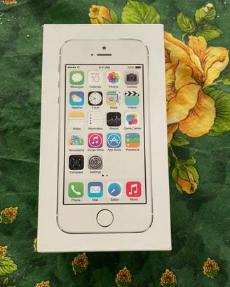 Iphone 5s non funzionante