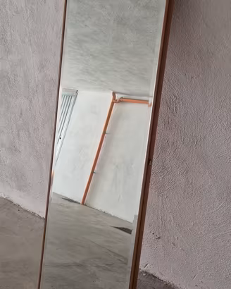 Porta in legno con specchio