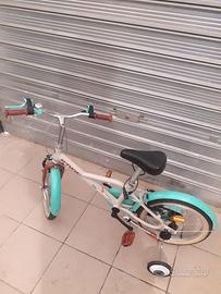 bicicletta