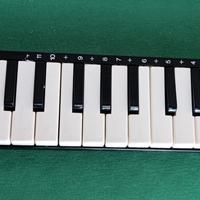 Hohner melodica piano 20