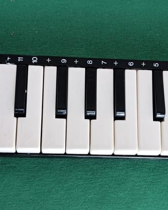 Hohner melodica piano 20