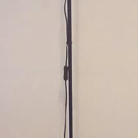 Piantana/lampada nera