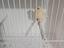 Immagine 5