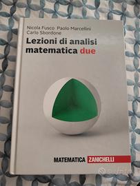 Lezioni di analisi matematica due zanichelli