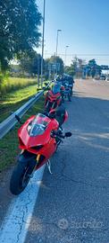 ducati panigale v4 s 2019
