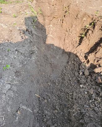 Terra da scavo pulita