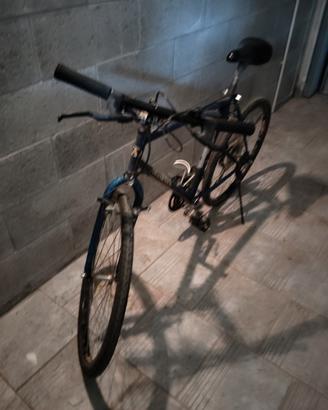 biciclette