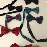 Papillon collezione seta pura