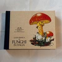 Guida pratica i funghi in Italia