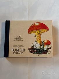 Guida pratica i funghi in Italia