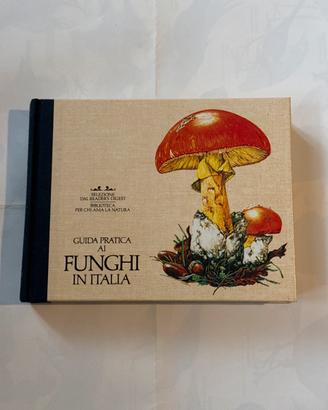 Guida pratica i funghi in Italia