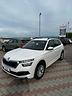 skoda-kamiq-1-0-tsi-110-cv-dsg-ambition