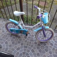 Bici frozen