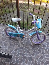 Bici frozen