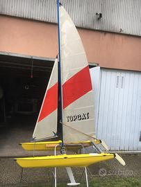 Catamarano  radiocomandato