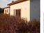 Immagine 9