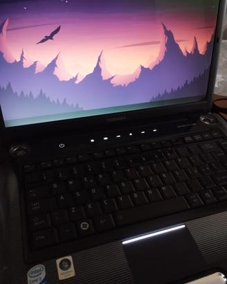 Toshiba Satellite A300