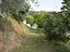 Immagine 13