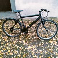 Bicicletta Mountain bike 