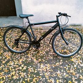 Bicicletta Mountain bike 