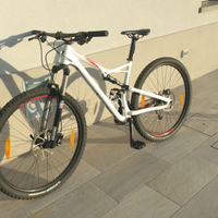 Mountain Bike Specialized