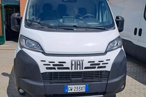 FIAT DUCATO - FURGONE COIBENTATO FRIGO