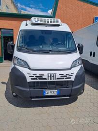 FIAT DUCATO - FURGONE COIBENTATO FRIGO