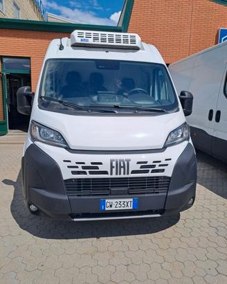 FIAT DUCATO - FURGONE COIBENTATO FRIGO