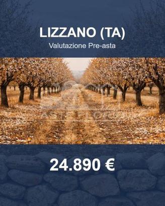 Immobile in asta di 27829 m² a Lizzano