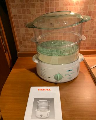 VAPORIERA TEFAL STEAM COUSINE