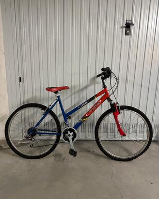 Bici 8/12 anni