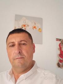 Collaborare domestico