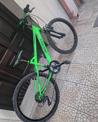 bicicletta
