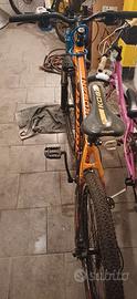 Bicicletta