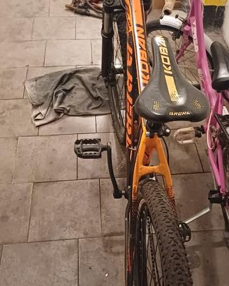 Bicicletta