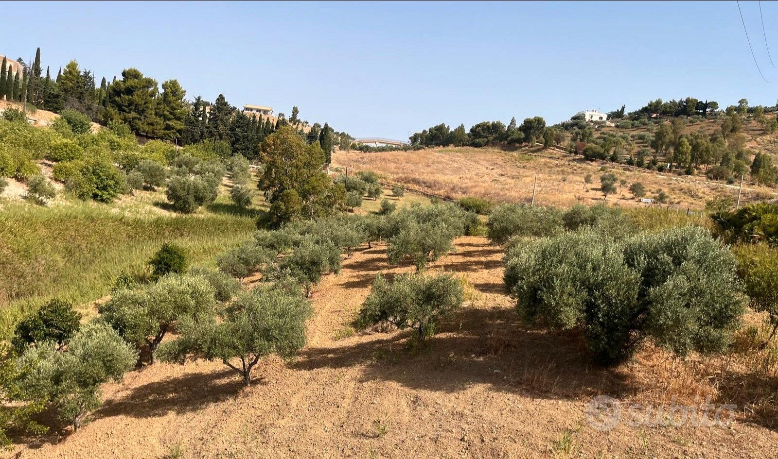 Terreno agricolo non edificabile - Vista 4