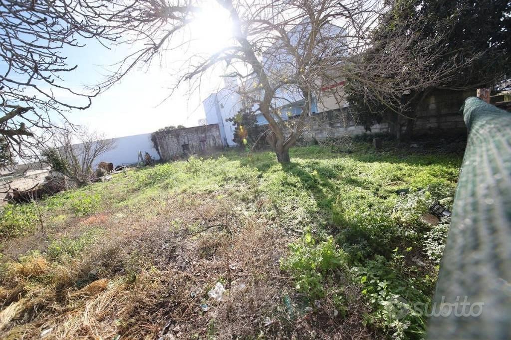 Terreno di 1000 m² a Mesagne - Vista 5
