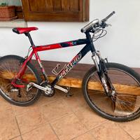 Bici Mtb