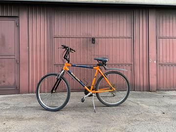 bicicletta