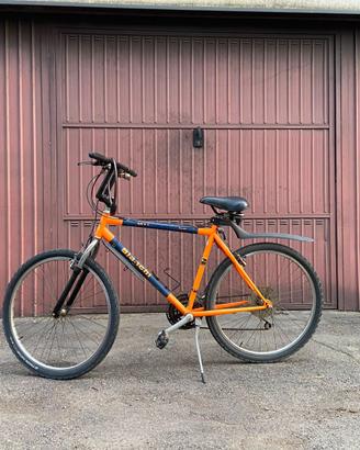 bicicletta